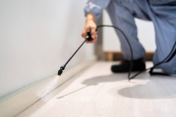 Bed Bug Pre-Treatment Preparation Assessment in Bangor